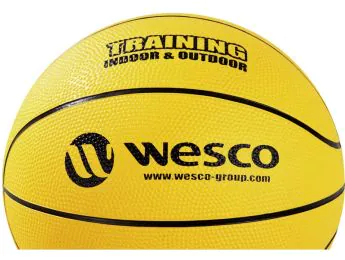 BALLON DE BASKETBALL Training Indoor - Outdoor