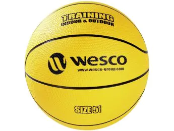 BALLON DE BASKETBALL Training Indoor - Outdoor
