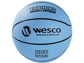 BALLON DE BASKETBALL Training Indoor - Outdoor Taille 7