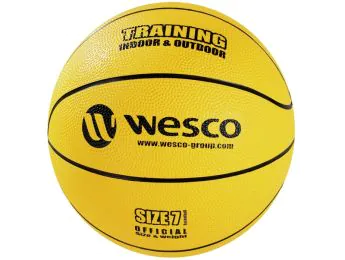BALLON DE BASKETBALL Training Indoor - Outdoor Taille 7