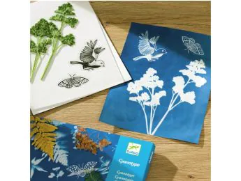 KIT INICIAT DE CIANOTIPIA