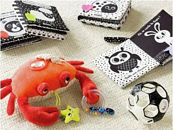 CANGRELL D'ACTIVITATS GRAN