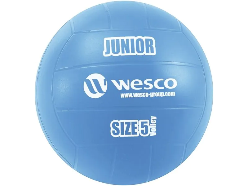 LOT MAXI DE PILOTES DE VOLEIBOL JUNIOR Mida 5