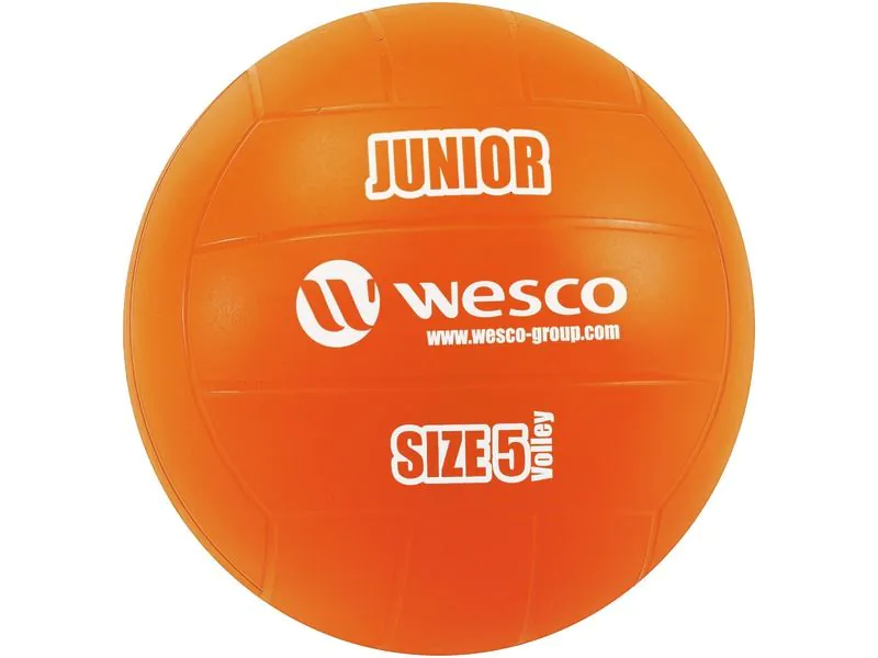 LOT MAXI DE PILOTES DE VOLEIBOL JUNIOR Mida 5