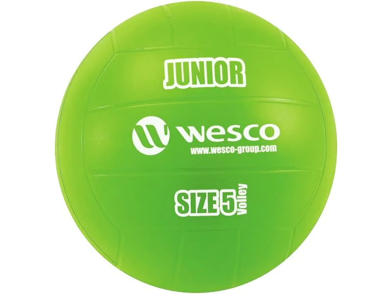 LOT MAXI DE PILOTES DE VOLEIBOL JUNIOR Mida 5