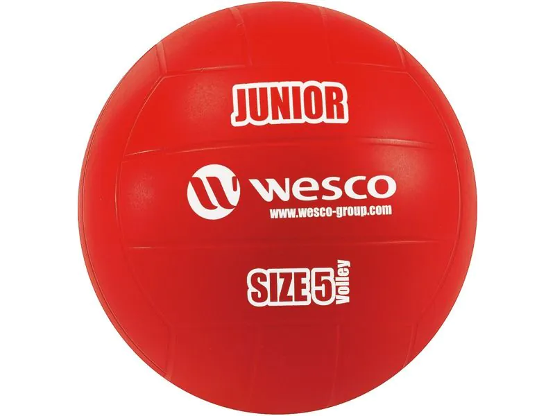 LOT MAXI DE PILOTES DE VOLEIBOL JUNIOR Mida 5