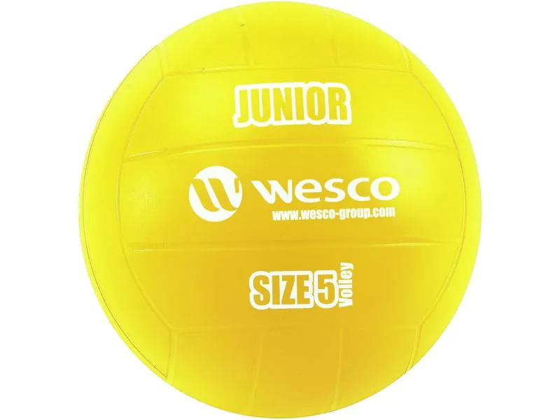 LOT MAXI DE PILOTES DE VOLEIBOL JUNIOR Mida 5