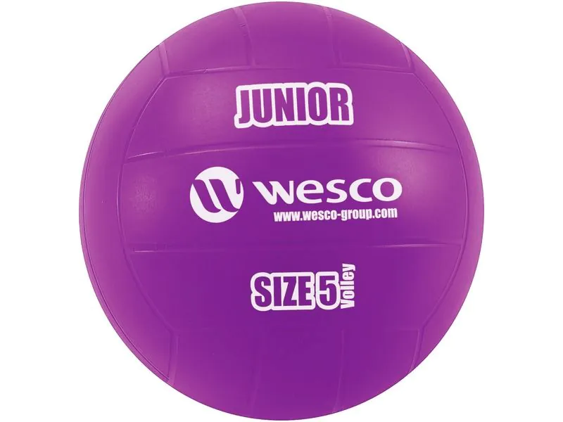 LOT MAXI DE PILOTES DE VOLEIBOL JUNIOR Mida 5
