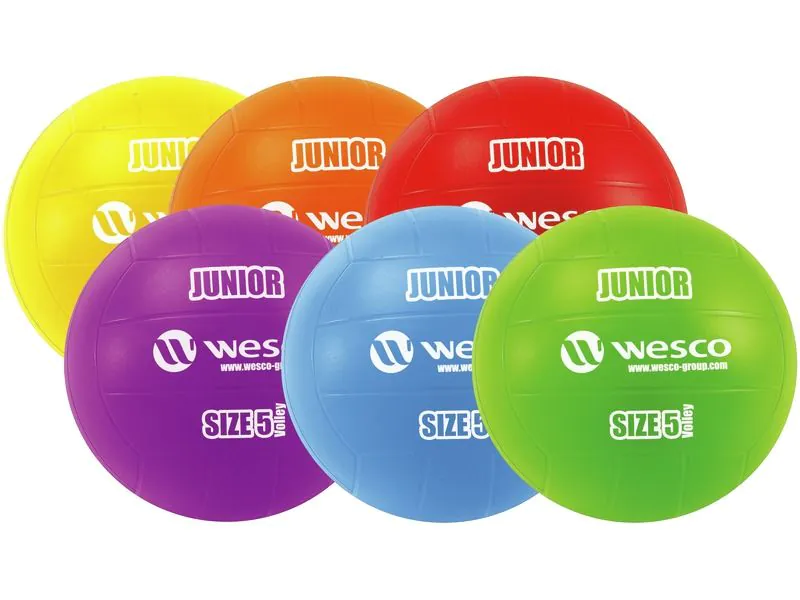 LOT MAXI DE PILOTES DE VOLEIBOL JUNIOR Mida 5