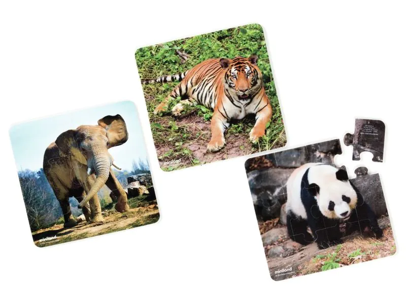 TRENCACLOSQUES REALISTES PROGRESSIUS Animals